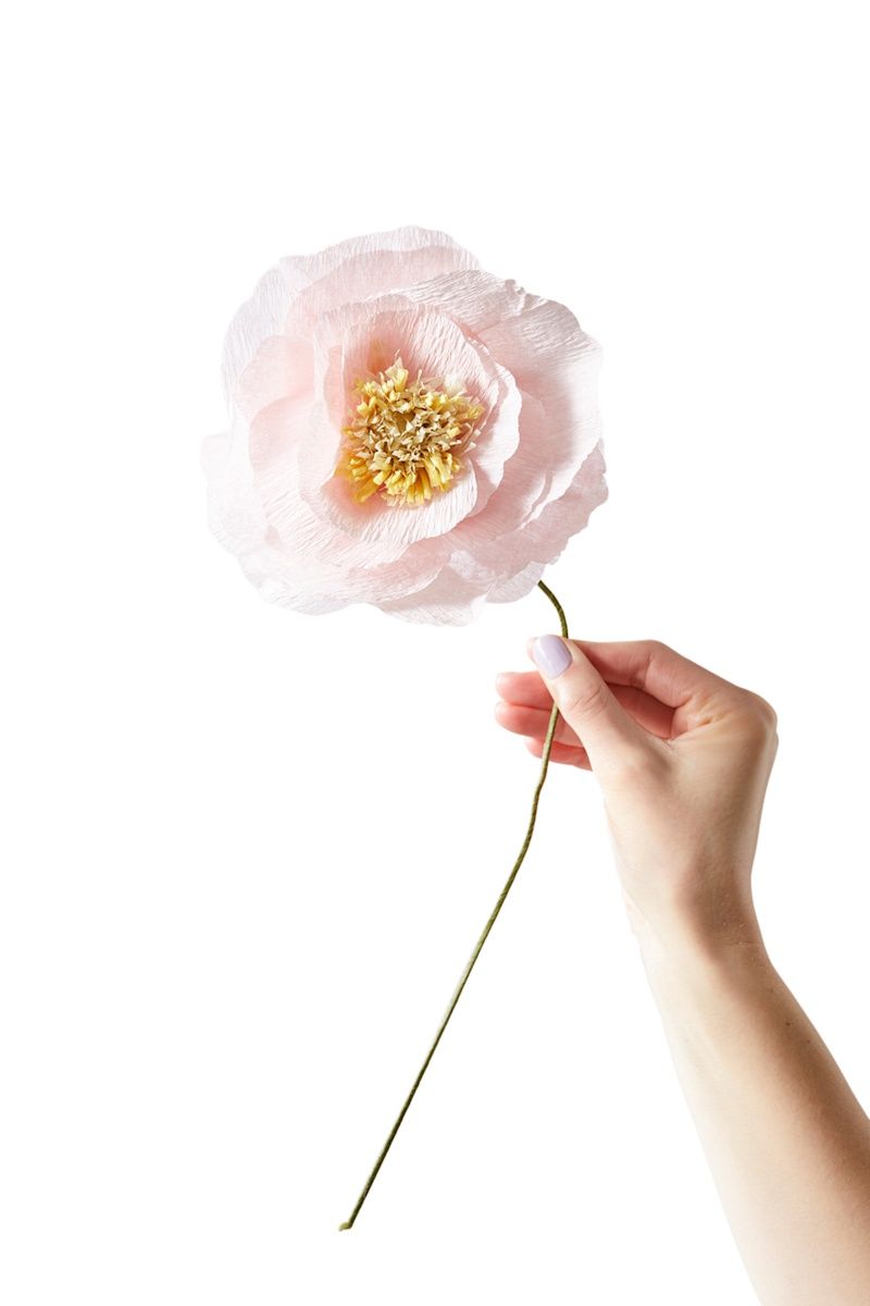 Studio About · Paper flower ice poppy rose