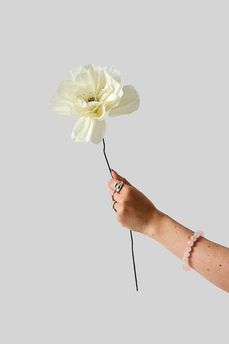 Studio About · Paper flower rosa la paloma grande sand