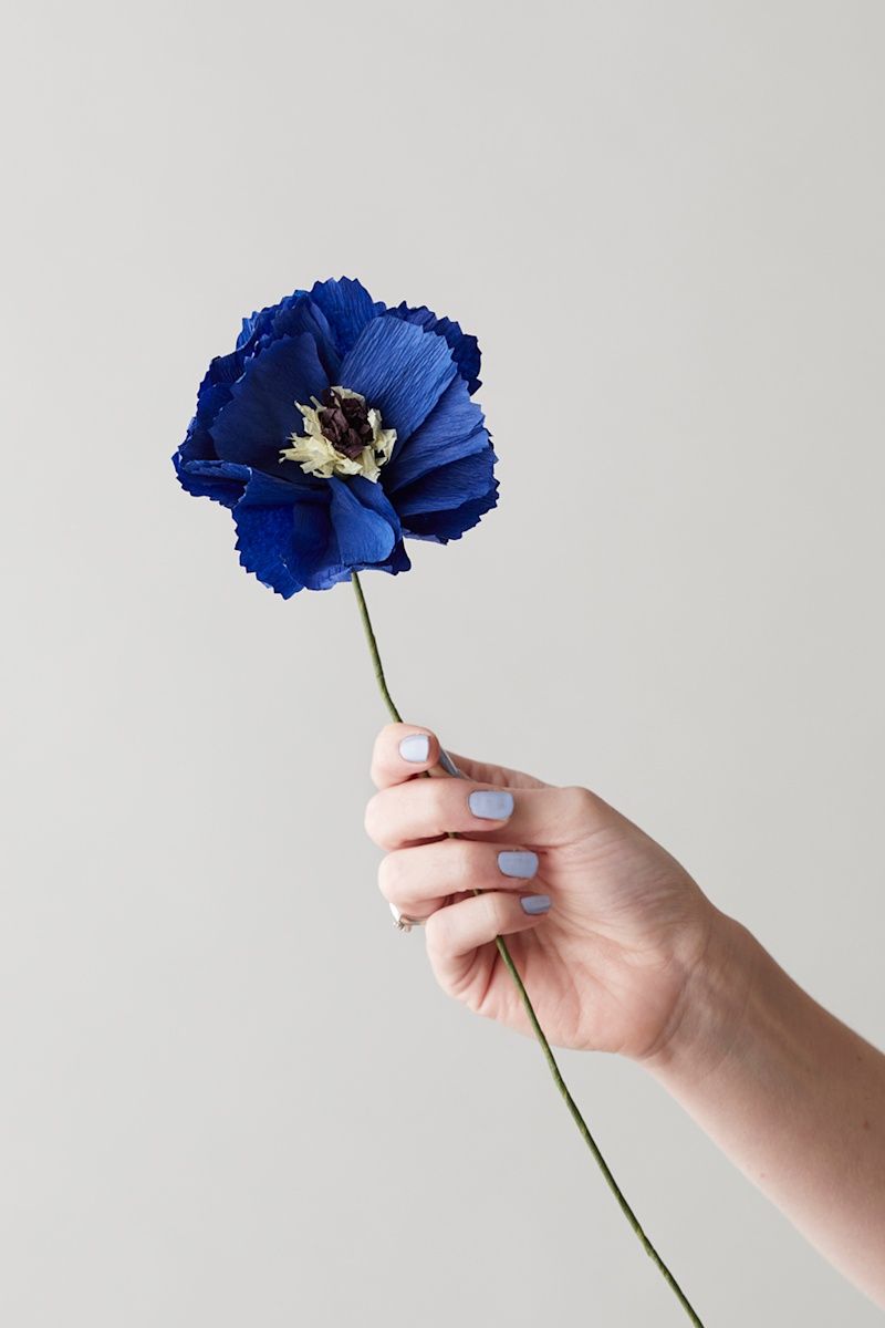 Studio About · Paper flower peony blue