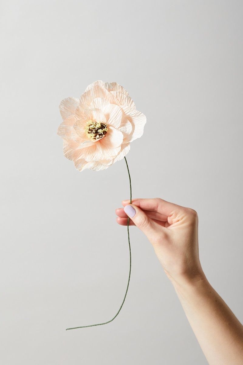 Studio About · Paper flower poppy nude