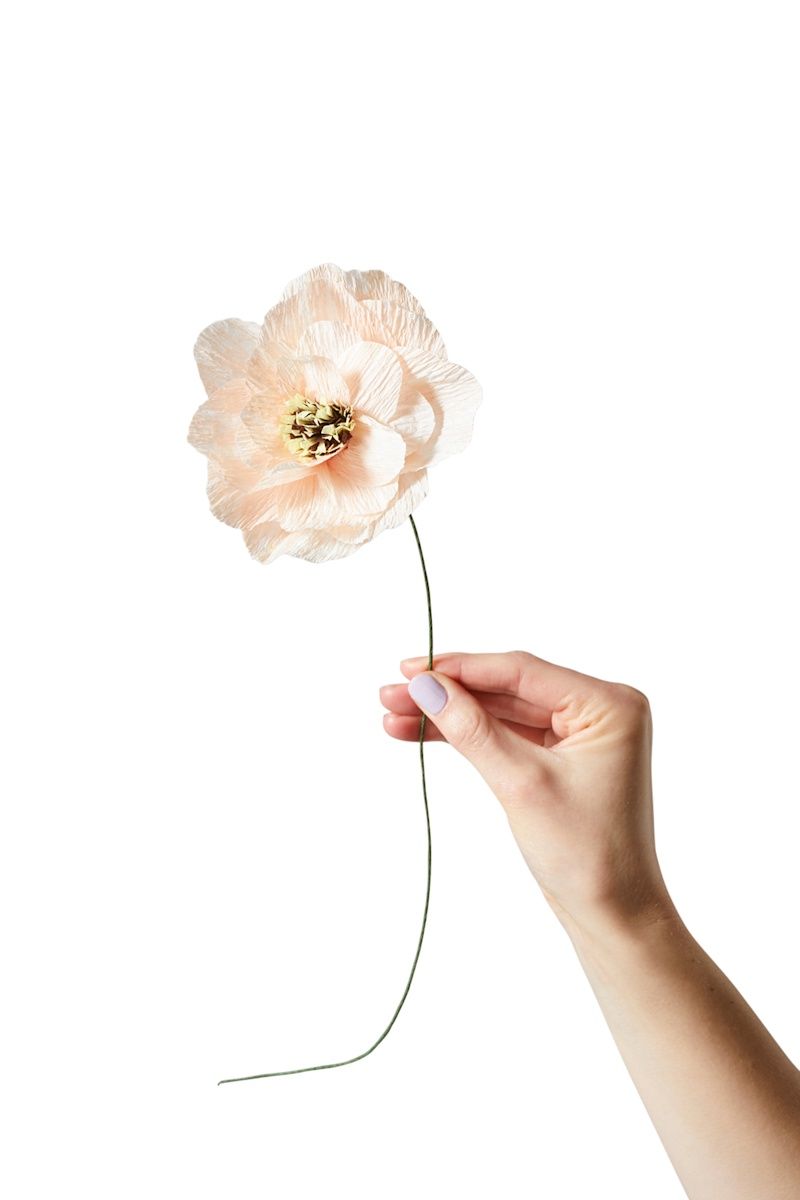 Studio About · Paper flower poppy nude