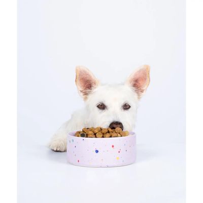 Egg Back Home · Pet Bowl 14cm Lila