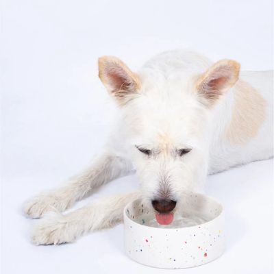 Egg Back Home · Pet Bowl 14cm Wit