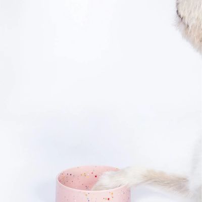 Egg Back Home · Pet Bowl 16,5cm Roze