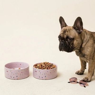 Egg Back Home · Pet Bowl 16,5cm Lila