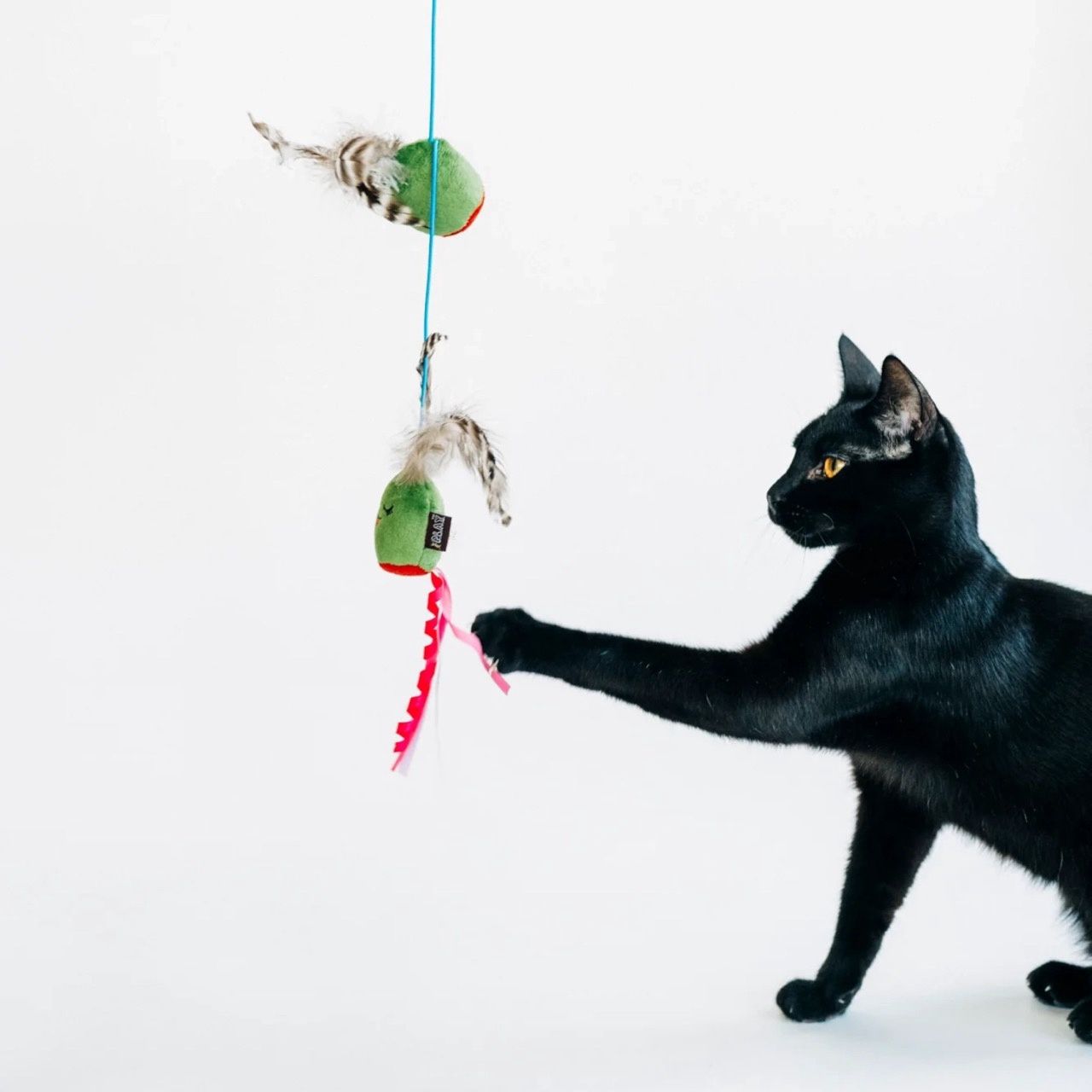 Only An Ocean Europe · Feline Frenz - Kattenhengelspeeltje 'Olijven'