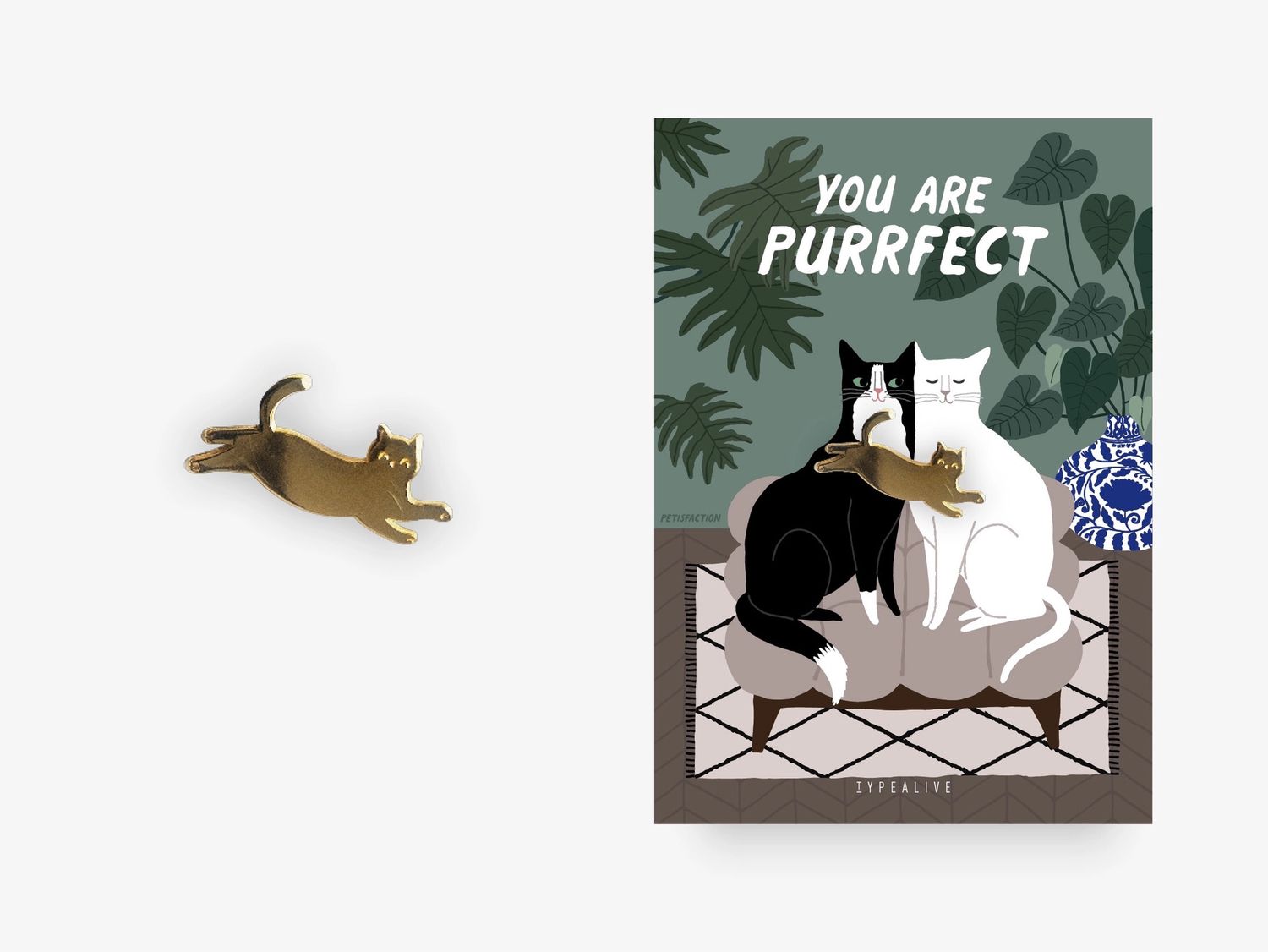 Pin · you are purrfect