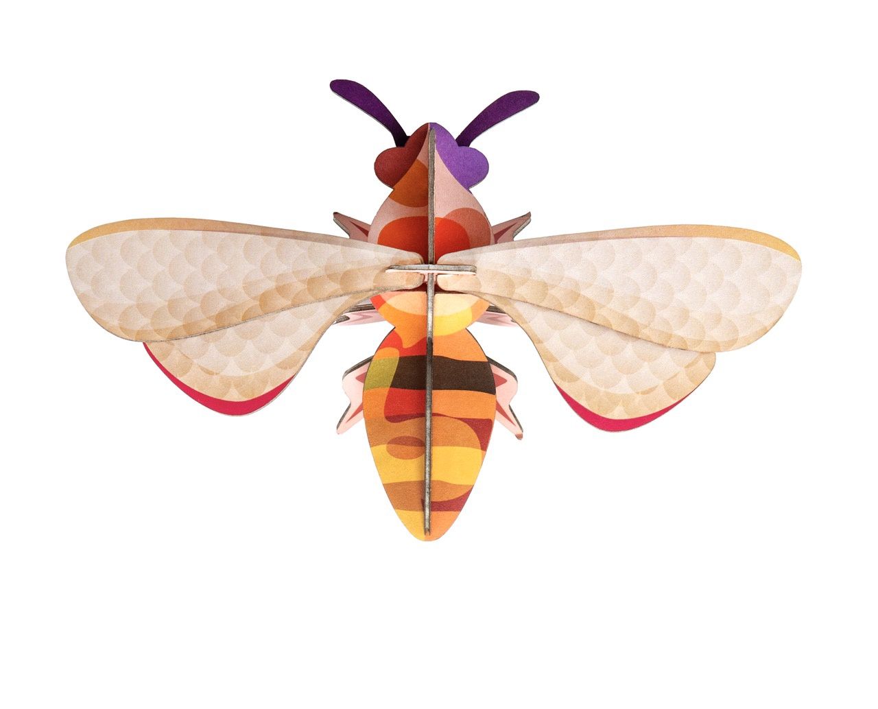 Studio Roof - Small Insects - Honey Bee