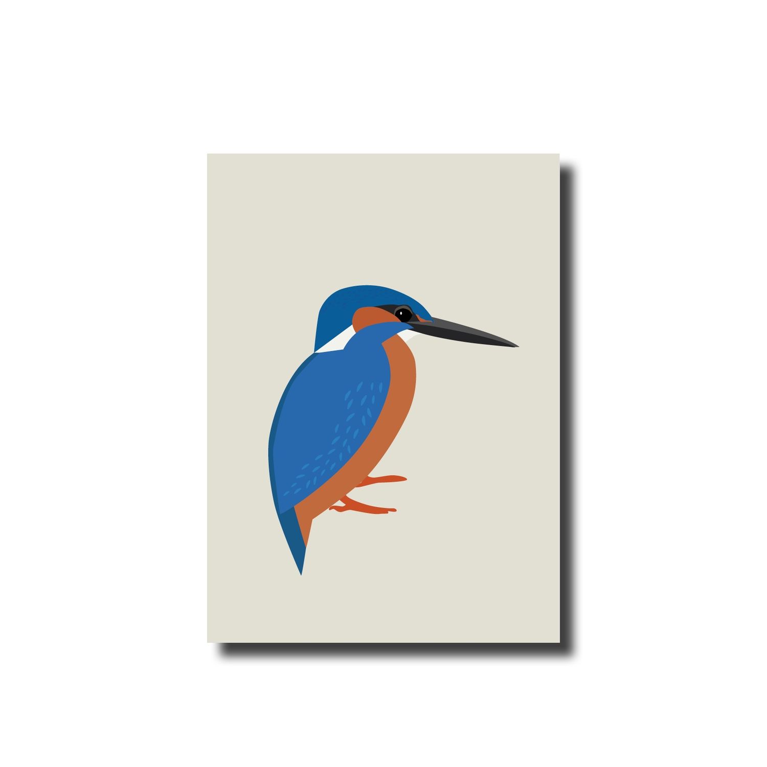Postcard · IJsvogel
