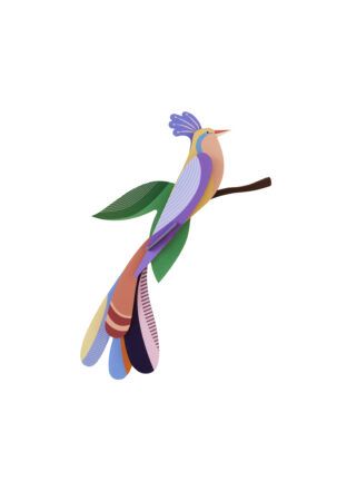 Studio ROOF · Paradise Bird - Bisa