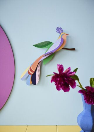 Studio ROOF · Paradise Bird - Bisa