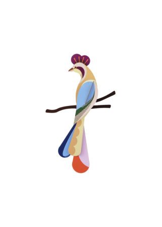 Studio ROOF · Paradise Bird - Sunda
