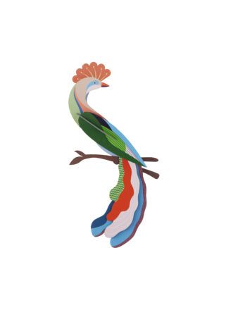 Studio ROOF · Paradise Bird - Meti