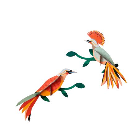 Studio ROOF · Paradise Bird - Obi