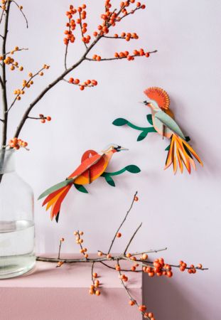 Studio ROOF · Paradise Bird - Obi