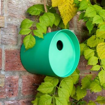 REX · Rond bamboevezel vogelhuisje - Groen