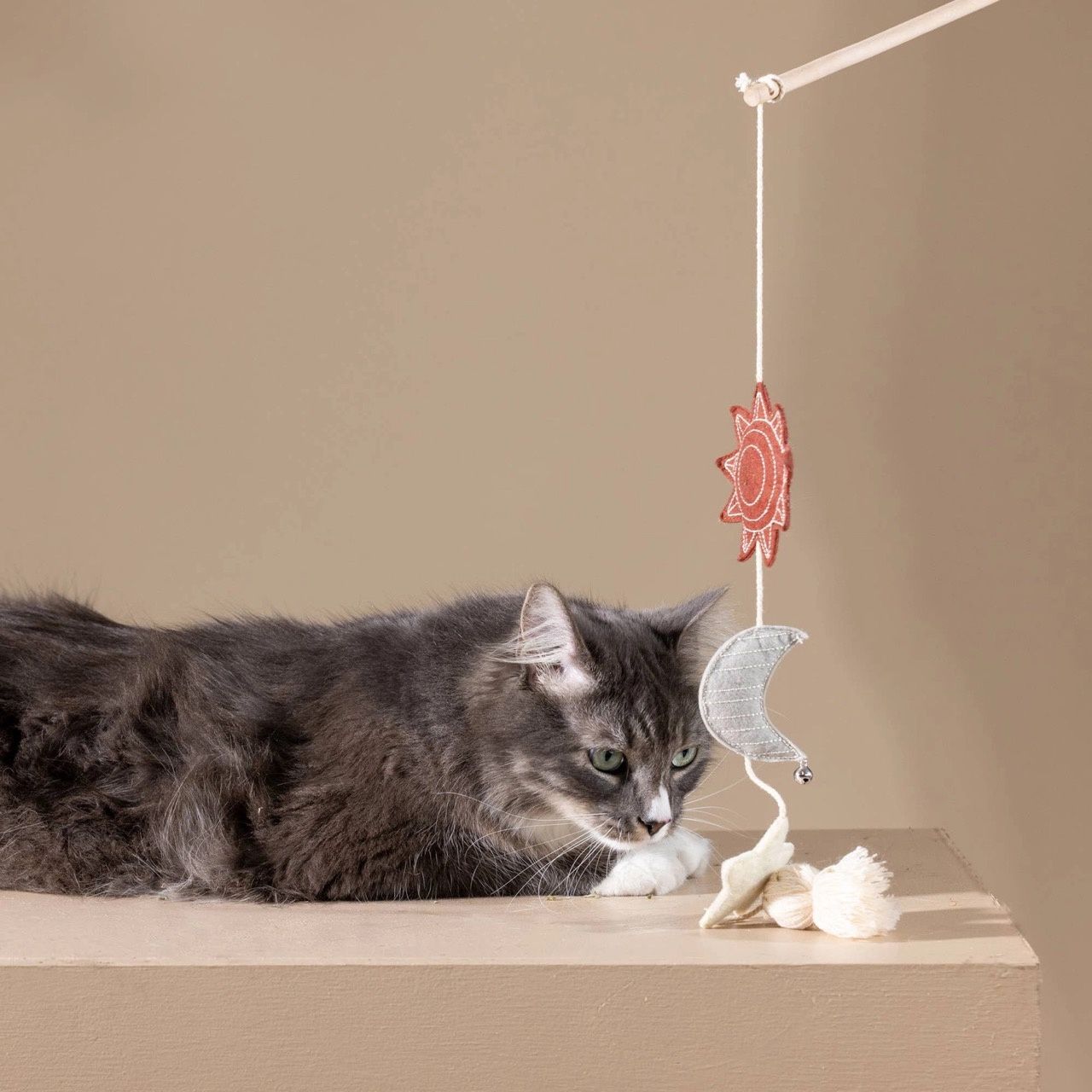 Only An Ocean Europe · Kattenspeeltje 'Happy Skies'