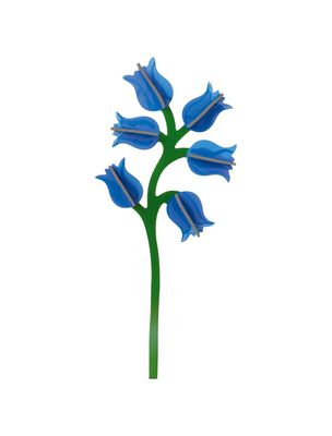 Studio ROOF · Everlasting Flowers - Campanula