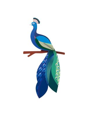 Studio ROOF · Peacock