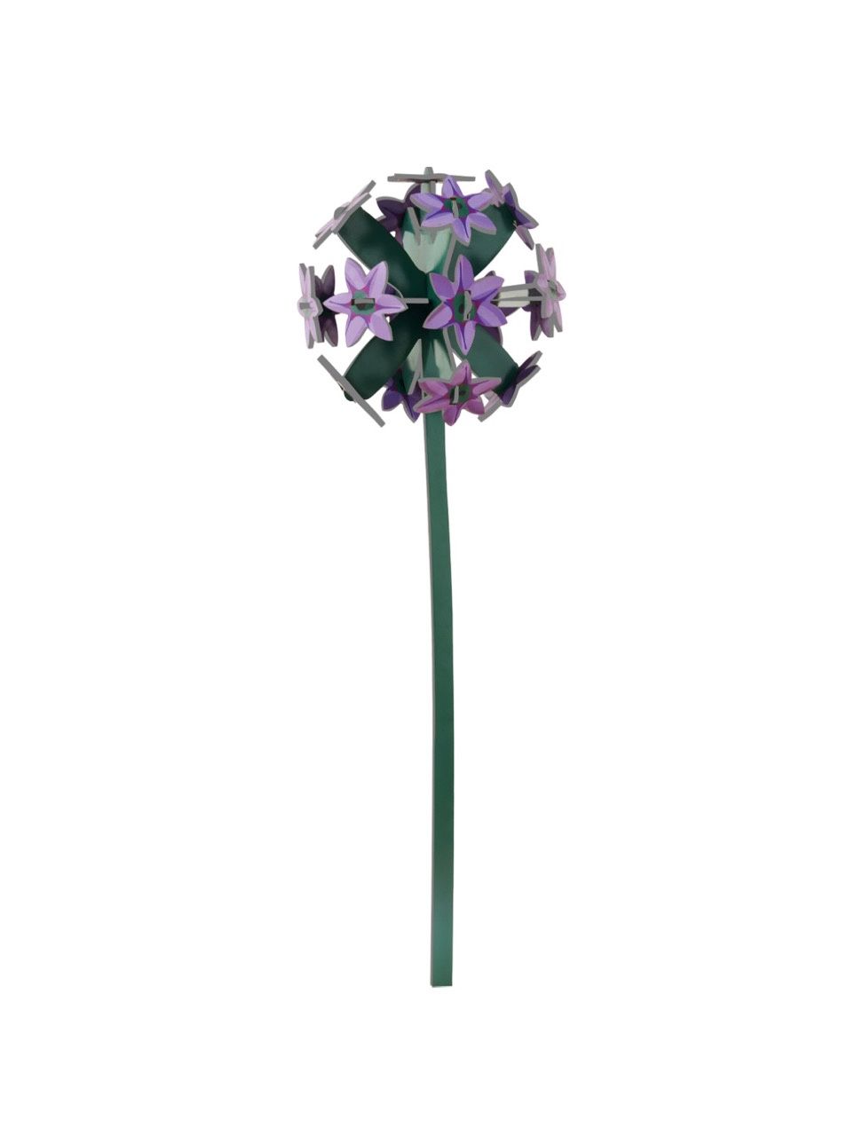 Studio ROOF · Everlasting Flowers - Allium