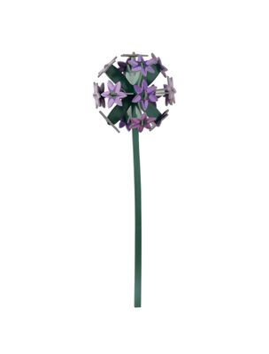 Studio ROOF · Everlasting Flowers - Allium