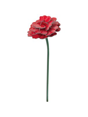 Studio ROOF · Everlasting Flowers - Rose