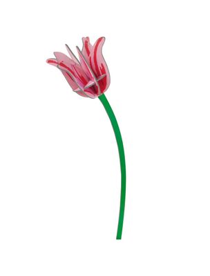 Studio ROOF · Everlasting Flowers - Pink Tulip