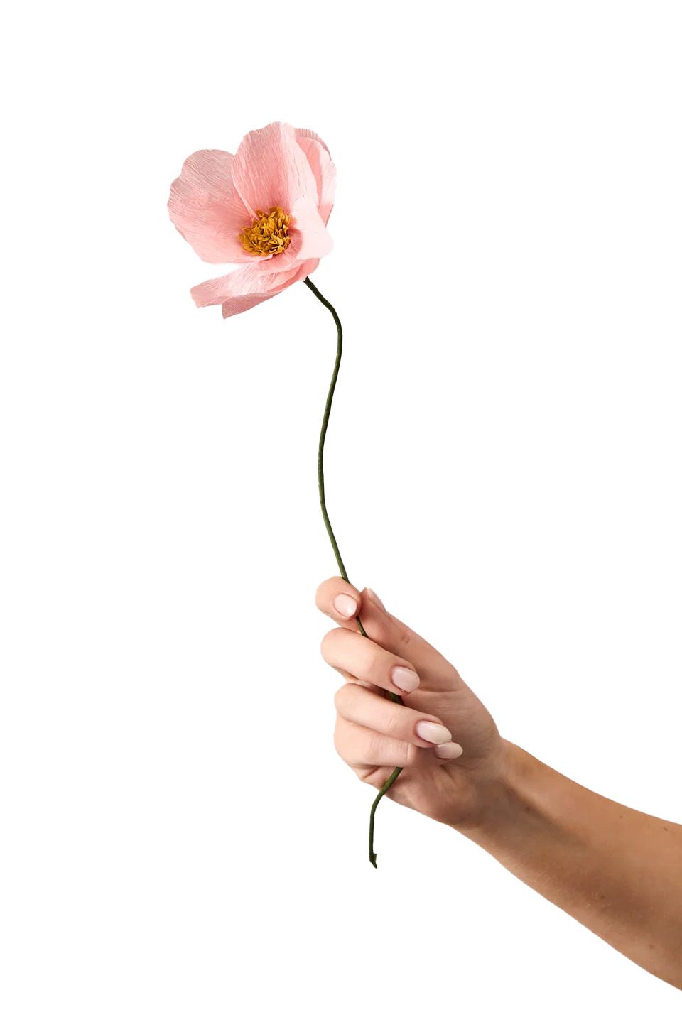 Studio About · Paper flower, windflower, rose