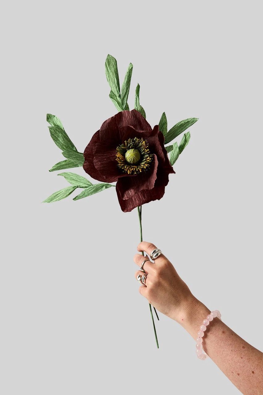 Studio About · Paper flower, papaver, brown