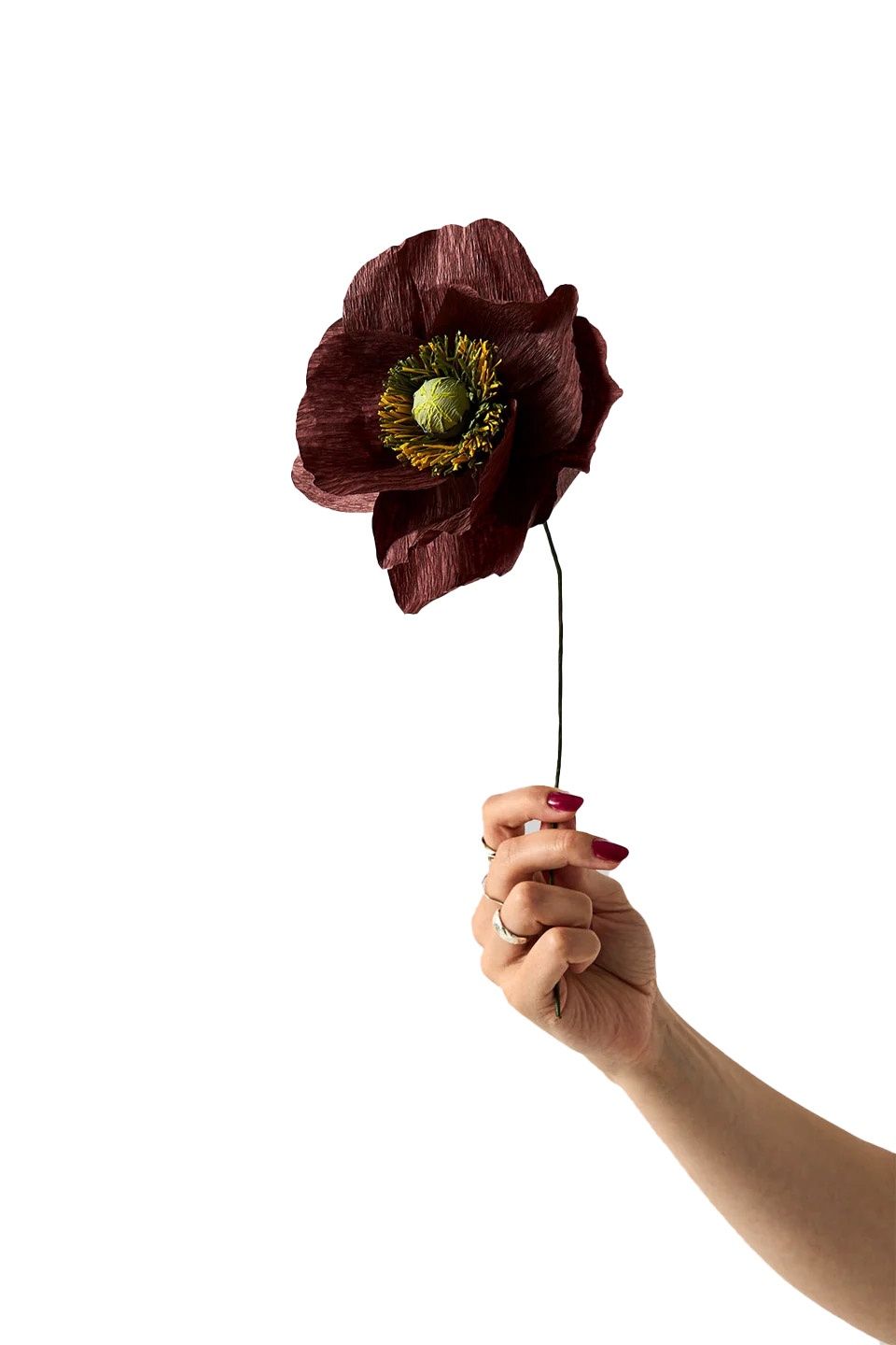 Studio About · Paper flower, papaver, brown