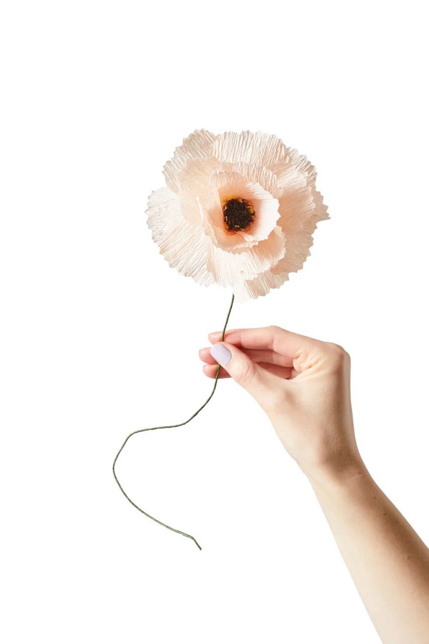Studio About · Paper flower peony nude