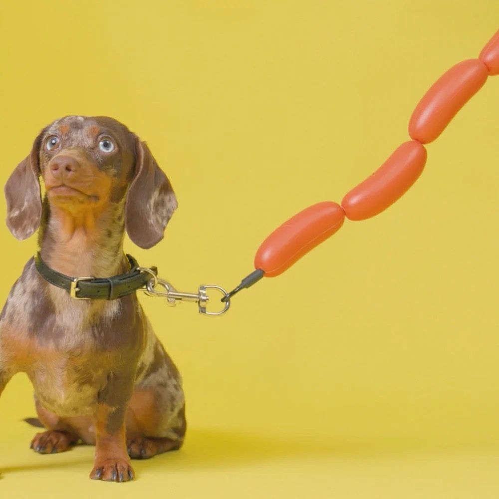 Balvi · Hot dog riem