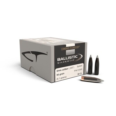 Nosler .243 DIA 95GR BALLISTIC SILVERTIP