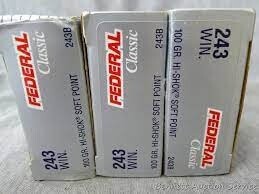 243 Federal Classic 100gr