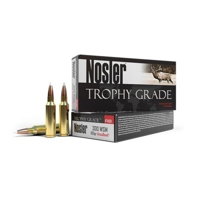 TG AMMO 300 WSM 180GR ACCUBOND
