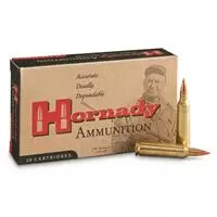 Ammo 22-250 Rem 55 Gr V-MAX® (20)