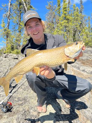 Lake Trout