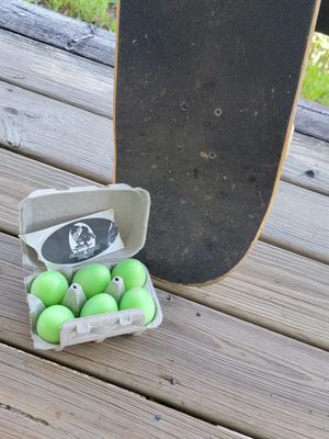 Half Dozen egg wax