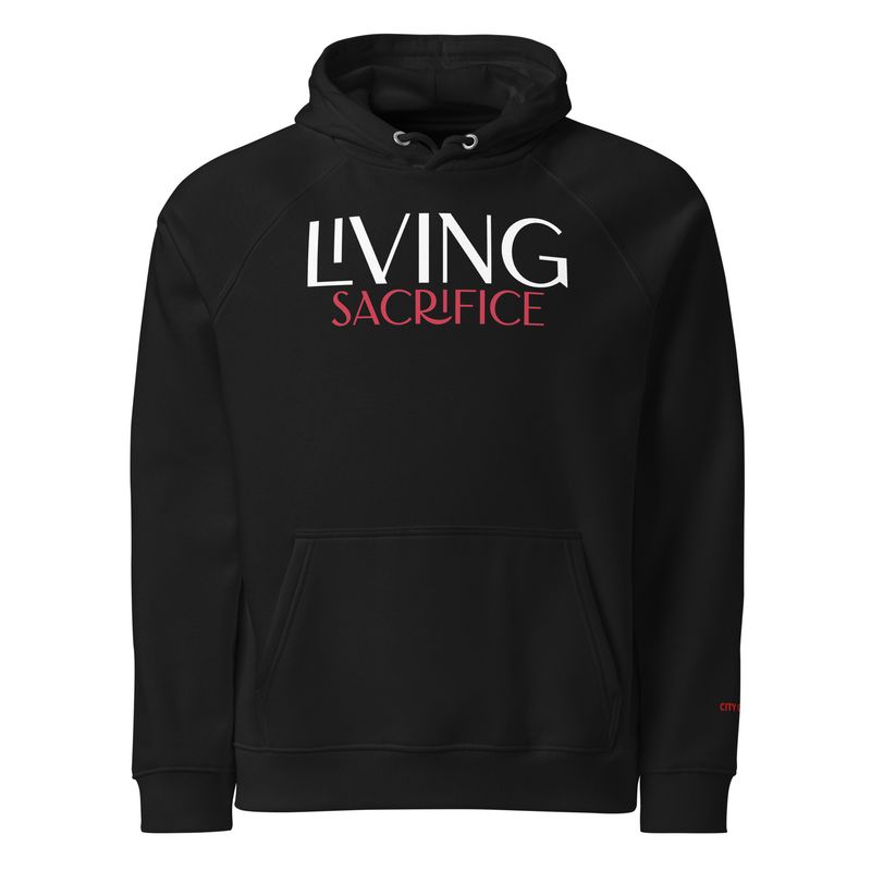 City Glory-Sacrifice Moments (Unisex eco raglan hoodie)