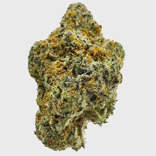 Gold Spectrum THCA 3.5g Flower Jar (Connoisseur) [wholesale]