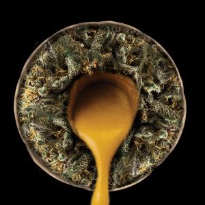 Donut 2g Rosin Preroll Box (20 ct) [wholesale]