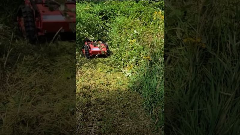 DareDevil Mower VYPER EDITION 9hp