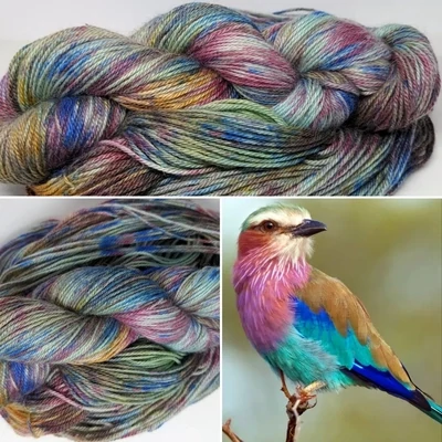 Lilac Breasted Roller - DK Superwash Merino/Nylon