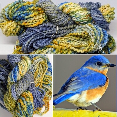 Eastern Bluebird - chunky