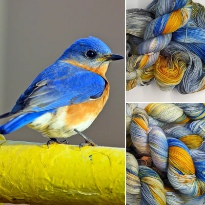 Eastern Bluebird - Sock Yarn