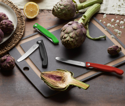 Victorinox Professional Range