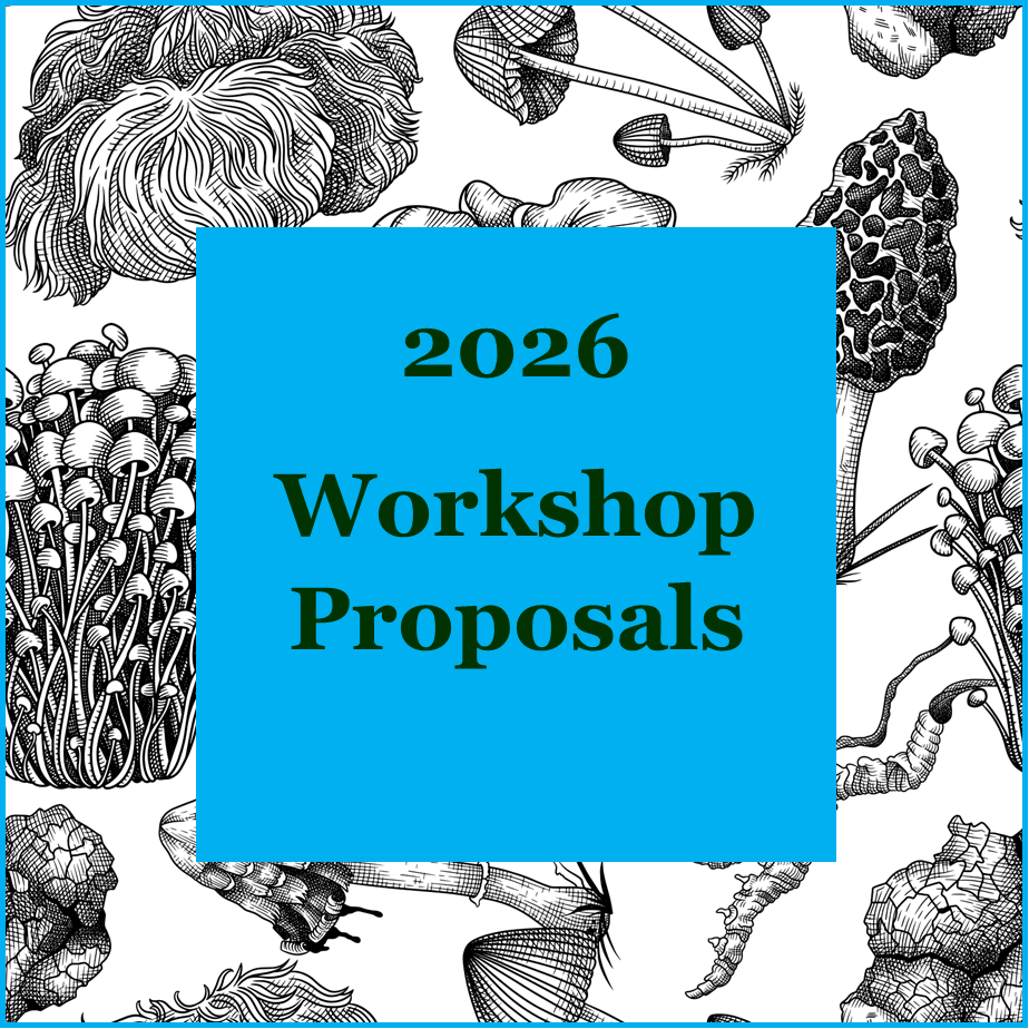 2026 Workshop Proposal Form