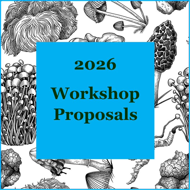 2026 Workshop Proposal Form