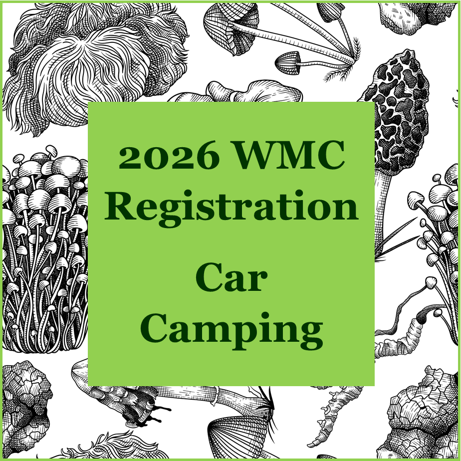 2026 WMC: Car Camping