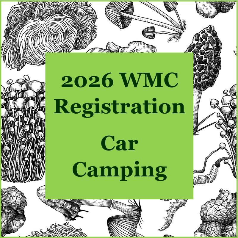 2026 WMC: Car Camping